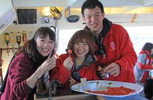Daily Scenic Maori Rock Carving Cruise Taupo