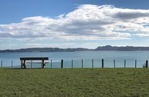 Beautiful Pohutukawa Coast - Half Day Private Tour