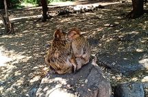 5 Day Desert tour from Fes to Marrakech With Erg Chebbi dunes , Camel Trekking