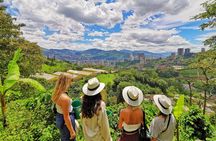 Private Coffee Farm Tour in Medellin: Real Authentic Experience 