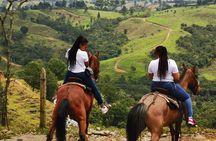Horseback Riding in Medellin Private Tour: Great Views & Horses 