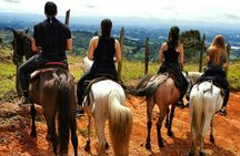 Coffee & Horses Private Tour in Medellin: A Fun & Authentic Day