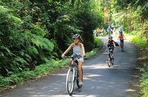 Bike ride in the rice fields, Bali countryside