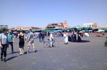 Magical Marrakesh 1 Day Trip From Agadir
