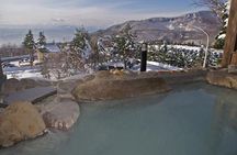 See Snow Monkeys on a Private Day Trip from Tokyo by Bullet Train