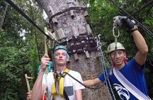 Sky Hawk Zipline Chiang Mai – Ultimate Canopy Adventure