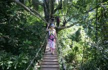 Sky Hawk Zipline Chiang Mai – Ultimate Canopy Adventure