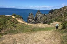 Tāwharanui- Get away from it all and experience New Zealand at its best - private tour