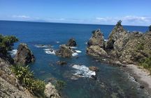 Stunning Auckland East Coast Walk & Wine Private Tour