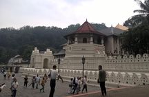Kandy Day Tour From Colombo