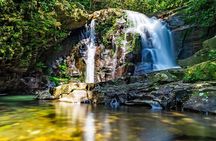 Explore Bach Ma National Park - Trekking with Small Group Tour