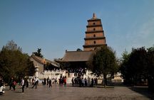 Terra-cotta Warriors and Giant Panda 3 Days 2 Nights Trip