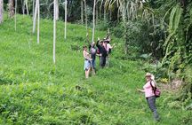 Authentic hike in the forest with lunch at the inhabitant