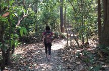 Half Day Doi Suthep Temple and short trekking on monk trail (Private Tour)