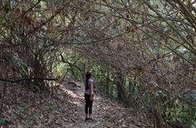 Half Day Doi Suthep Temple and short trekking on monk trail (Private Tour)