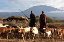 Amboseli national park private Day tour from Nairobi