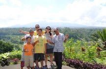 Besakih Temple, Rice terraces, and Countryside of Bali, private tour