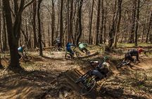 Ljubljana MTB capital