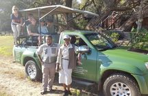 From Victoria Falls: Hwange National Park Day Safari