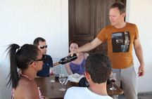 Private Santorini Wine Roads Tour with Tastings
