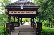 Bialowieza National Park Small Group Tour from Warsaw with Lunch included