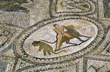 Historic Meknes, Roman Volubilis and Moulay Idriss - Private Day Trip from Fes