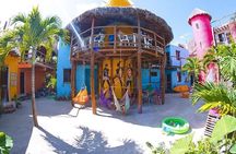 Holbox Island Full Day Trip with Lunch From Playa del Carmen