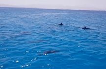 Snorkeling Day Trip in Hurghada 