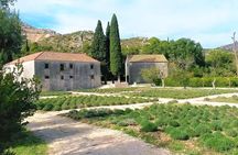 Private Tour Experience Dubrovnik Best Of Serene Views & Tales 