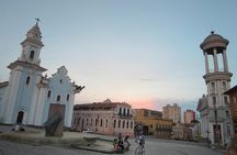 Half Day Curitiba Sightseeing Tour