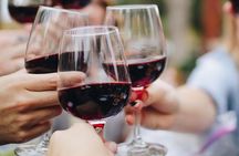 ALBA walking & TASTING tour (food, wine and history) 
