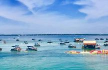 Destin: Private Snorkel/Shelling/Eco Excursion for Up to 28