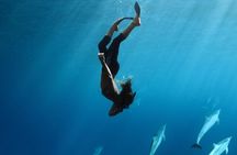 Private Snorkel Tour 3 Hrs 1 stop from Kaanapali Beach 
