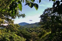 Hiking To Minca