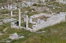 Delos Tour from Mykonos Island