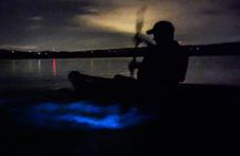 Bioluminescence Night Kayaking Tour of Merritt Island Wildlife Refuge