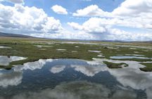 Colca Canyon Sightseeing Tour 2-Day 1-Night
