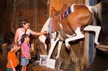 Go City: San Antonio Explorer Pass
