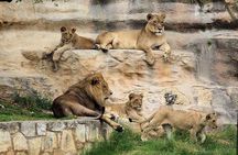 Go City: San Antonio Explorer Pass