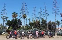 Electric Bike Tour of La Jolla and Pacific Beach