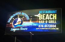 Luminous Lagoon and Glistening Water Tour from Montego Bay