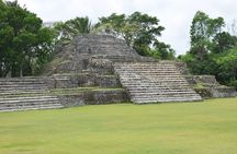 Altun Ha & Rainforest