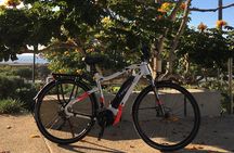 Half Day Performance eBike Rental