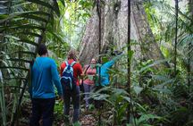 Welcome To the Jungle 5D/4N At Tapiri Rio Negro Lodge