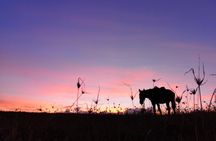 Ride to the highest point on the island for sunset