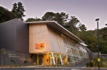 Zealandia - Twilight Guided Eco Wildlife Tour