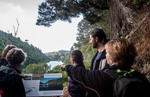Zealandia - Twilight Guided Eco Wildlife Tour