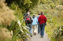 Small Group Daytime 2-Hour Eco Wildlife Tour at Zealandia