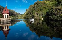 Zealandia by Day: Small group native forest and wildlife tour