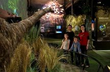 Small Group Daytime 2-Hour Eco Wildlife Tour at Zealandia
